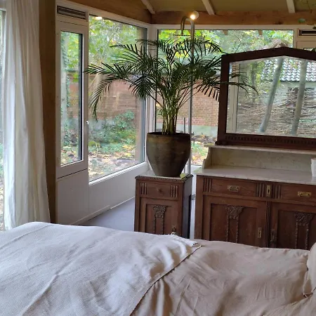 شقة Hofjes Tuinkamer *