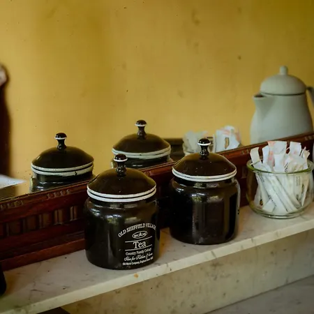 Hofjes Tuinkamer شقة